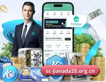 加拿大28 APP